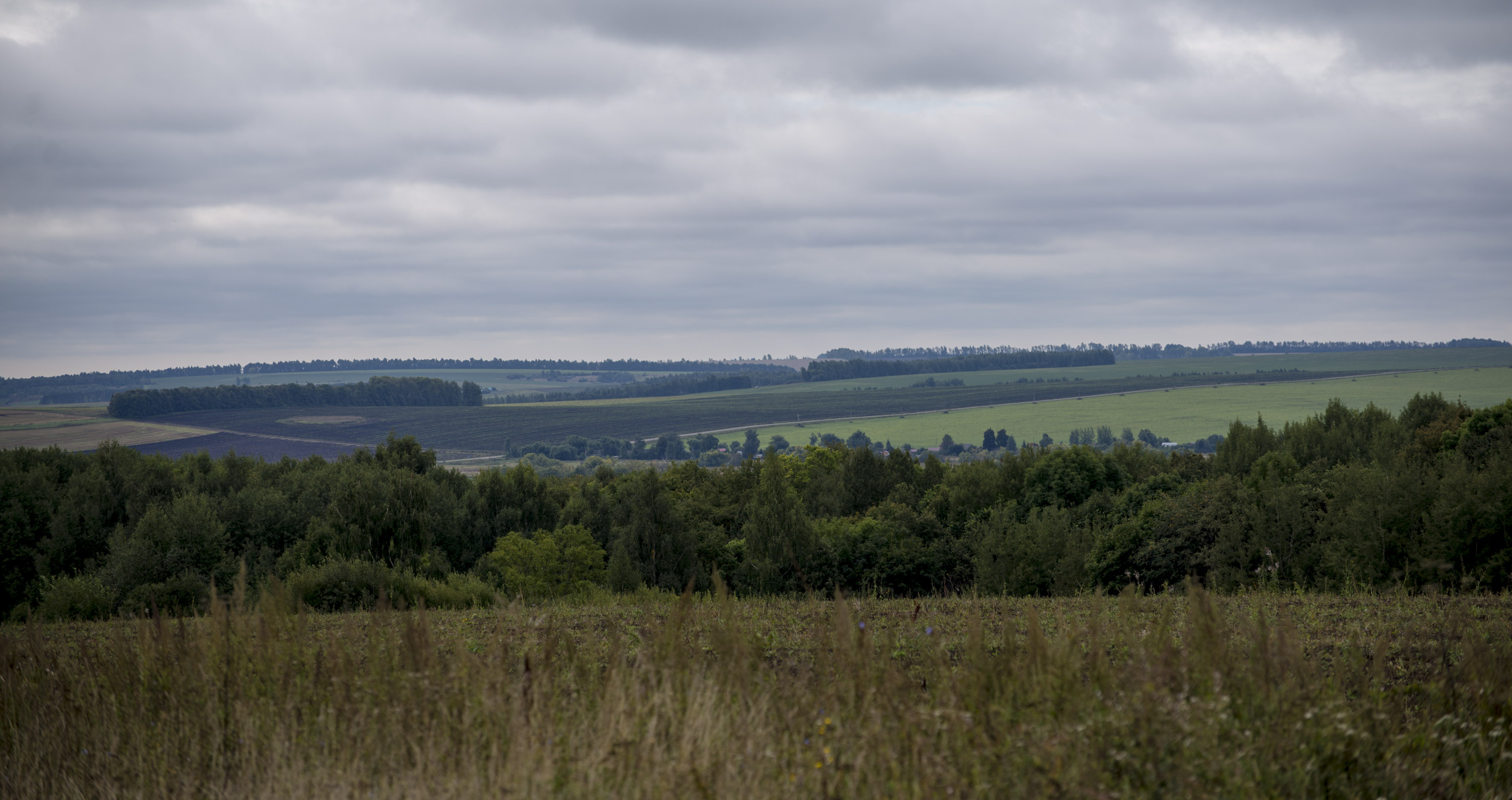 Ryazan region_0001
