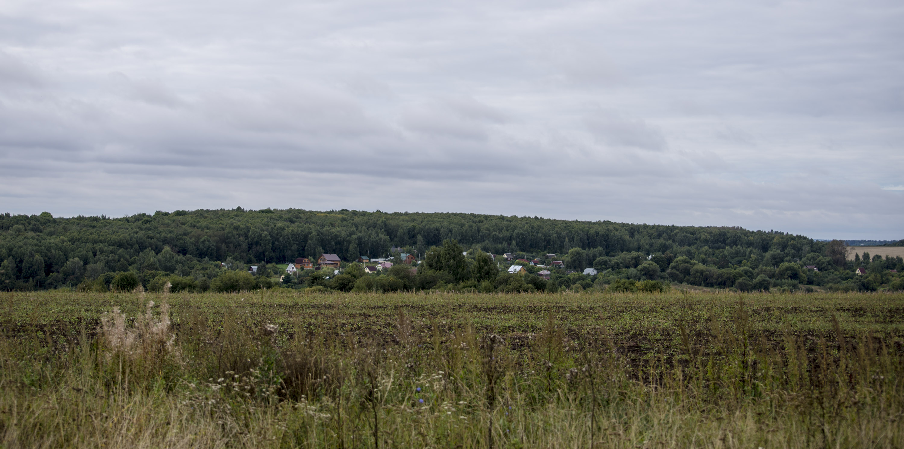 Ryazan region_0002