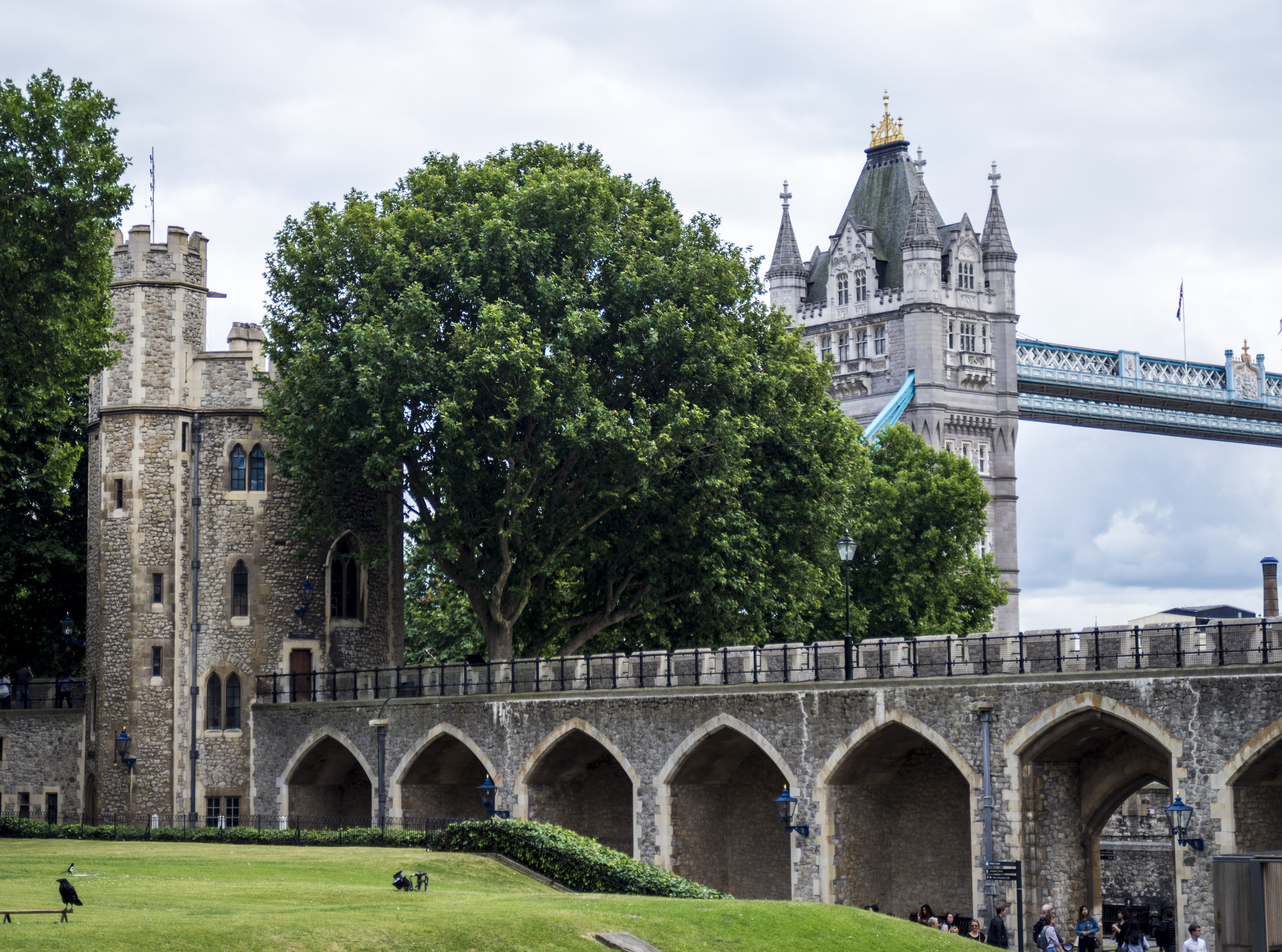 Tower Bridge_0006